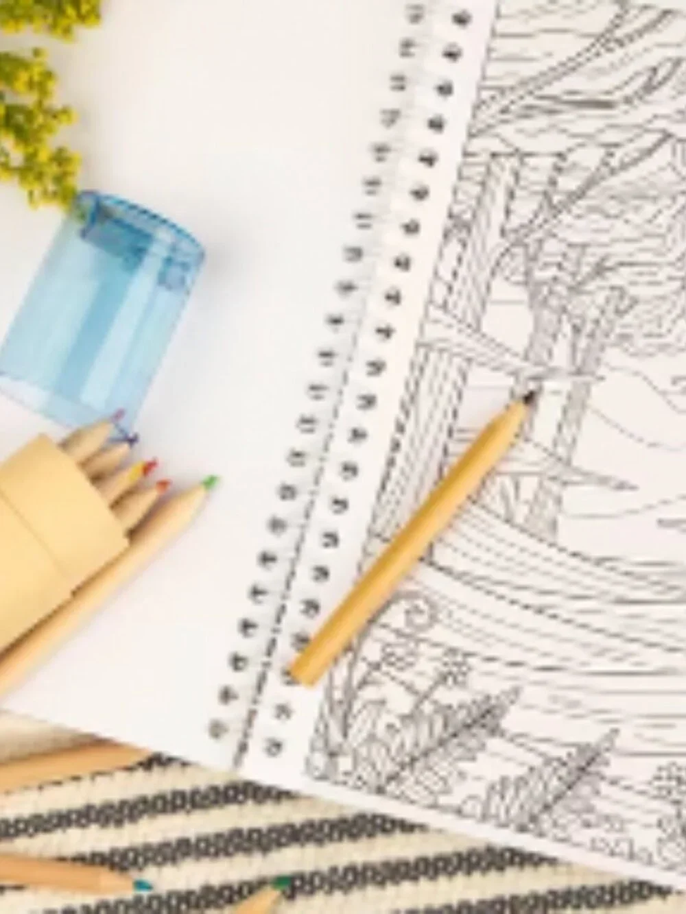 Sunlit Pause Coloring Book - NWT